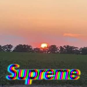 Meet your Posher, Raven